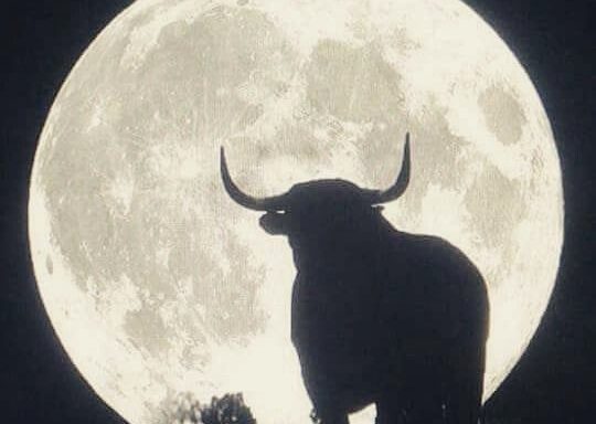 Blue Moon In Taurus