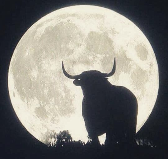 Blue Moon In Taurus