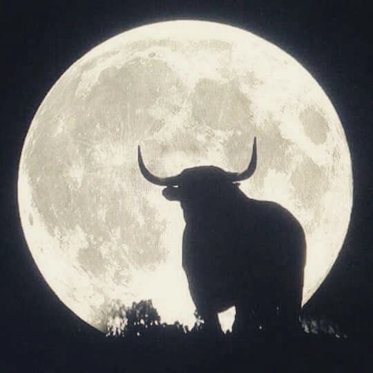 Blue Moon In Taurus